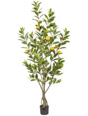 Kunstpflanze Zitronenbaum, im Kunststofftopf, H: 180 cm