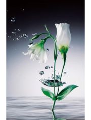 XXL Poster Giant Art - Crystal Flowers