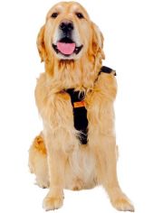 Hunde-Sicherheitsgurt RAC Sicherheitsgurt