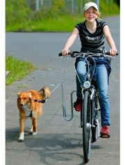 Fahrradhalter Fahrradhalter fr Hunde