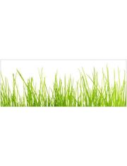 Badrckwand mySPOTTI aqua Gras, Hhe: 45 cm