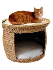 Katzen-Bett Wasserhyazinthe