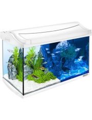 Aquarium AquaArt LED Discovery Line 60 l, wei