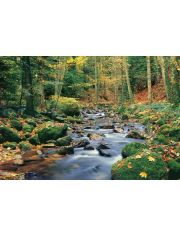 Fototapete Forest Stream, 8-teilig, 366x254 cm