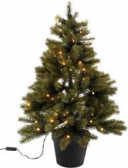 Premium Tannenbaum mit schwarzem Kunststoff-Topf und LED-Lichterkette, batteriebetrieben